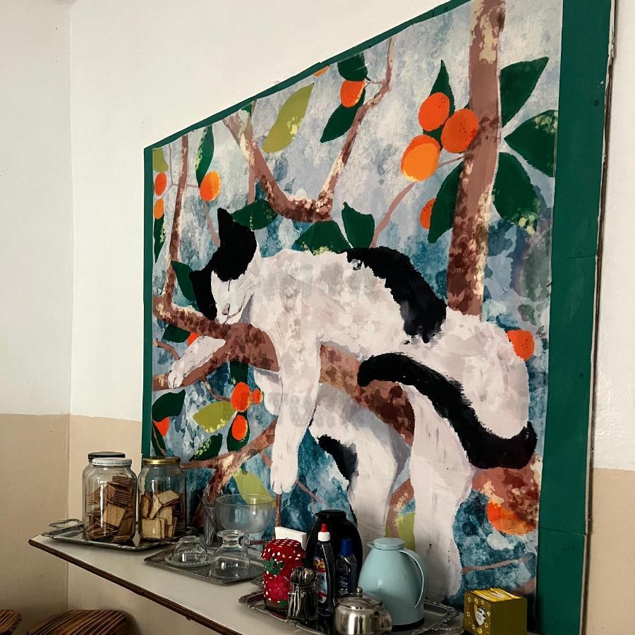 Casa Jardim Hostel Bh - Santa Efigenia - Paraiso Belo Horizonte Dış mekan fotoğraf